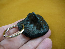 (g124-26) GATOR leather scute bone Aligator ALLIGATOR keychain skute key... - €14,48 EUR