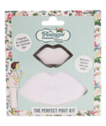 The Perfect Pout Kit Cleanse Exfoliate For Lips the vintage cosmetic kit - $14.74
