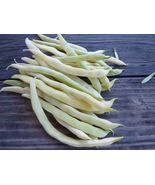Neckargold  -an old favorite yellow pole bean with the best flavor of any - $5.75