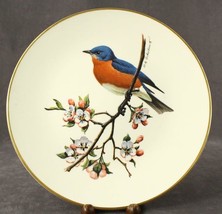 Vintage China Decor Plate AVON Bluebird Don Eckelberry Special Edition 10-3/8&quot; - £16.67 GBP