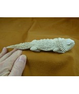 (liz-19) large Horned Lizards of shed ANTLER figurine Bali detailed carving - £102.34 GBP