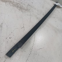 Ford Focus Door Glass Window Weather Strip Trim Front Left Driver 2018 2... - $32.94