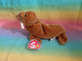 Vintage 1999 TY Beanie Babies Paul the Walrus Retired W/ Tags &amp; Protector - £3.44 GBP