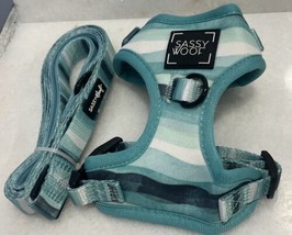 Sassy Woof Blue White Striped 2pc Set Dog Harness Leash Size XXS XXSmall - $33.66