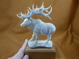 elk-w15 big white Elk buck walking of shed moose ANTLER figurine Bali de... - $522.65
