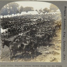 English Cavalry Horeses Keystone Stereoview Cards Pre World War Stereoscope - $3.91