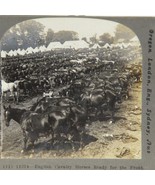 English Cavalry Horeses Keystone Stereoview Cards Pre World War Stereoscope - €3,39 EUR