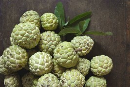 FG Custard Sugar Apple {Annona Squamosa} 10 Tree Seeds Non-Gmo Tropical Fruit Sw - £5.92 GBP