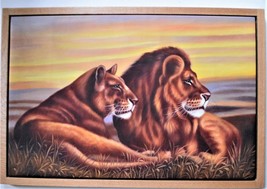 Large Oil on Canvas. Lions.  Solid Oak Floating Frame. 25&quot; x 37&quot; Framed Size.  - £255.80 GBP