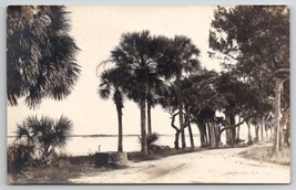 RPPC Indian River FL Dirt Path Palm Trees Long Pier in Distance Postcard I23 - £15.68 GBP