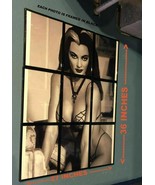 THE MUNSTERS YVONNE DE CARLO LILY MUNSTER RASTERBATOR FRAMED 27X36 PHOTO... - €151,31 EUR