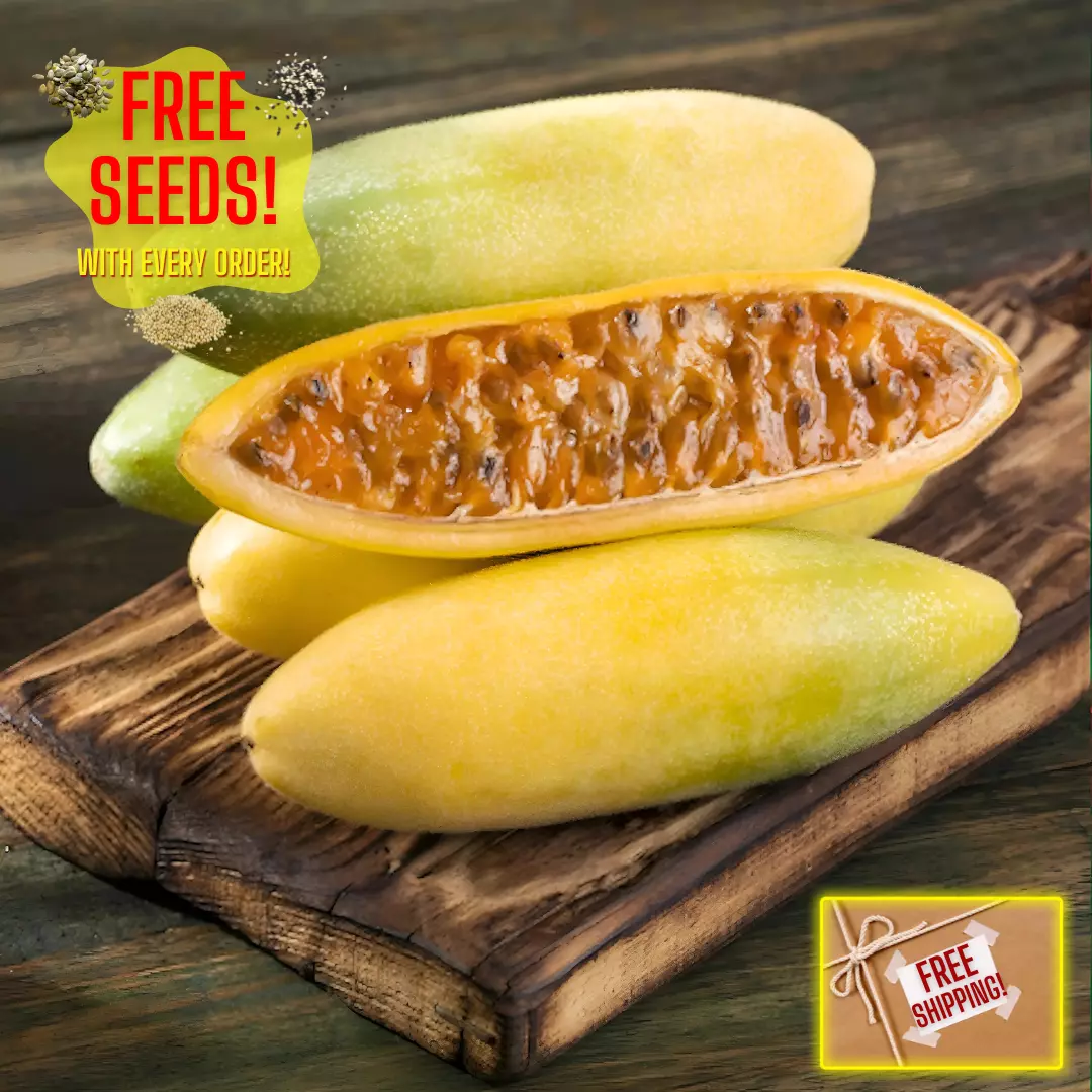 Fresh Premium Banana Passion Fruit Seeds | Heirloom | Non-GMO | Fruit Seeds - $8.65