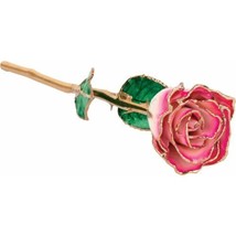 24k Gold Dipped Cream Magenta Lacquer Real Rose Valentine&#39;s Day Holiday Gift - £76.62 GBP