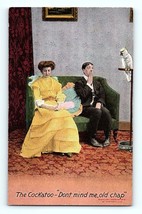 1900s Vintage Postcard Lady Yellow Dress, The Cockatoo Don&#39;t Mind Me Old Chap - £7.82 GBP