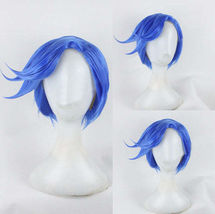 Niji Wig - $30.00