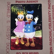 1995 Disneyland Donald &amp; Daisy Duck Red Carpet Celebrity Transparency Slide - £7.42 GBP