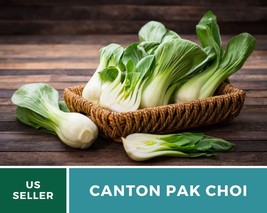 200 Pcs Canton Pak Choi Heirloom Seeds GMO Free Brassica rapa Seed - £15.61 GBP