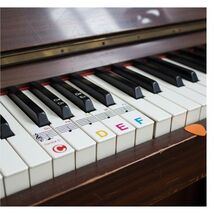 1 Pack Piano Keyboard Note Stickers, 88/76/61/54/49 Keys, Colorful Trans... - $141.45 MXN