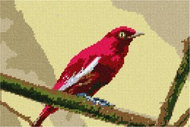 Pepita Needlepoint kit: Red Pompadour Cotinga Bird, 10&quot; x 7&quot; - £39.96 GBP+