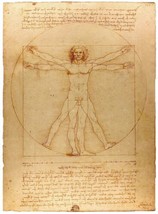 Art Print Vitruvian Man by Leonardo Da Vinci Fine Giclee Canvas Oil painting - £8.25 GBP