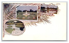 Multiview Vignette St Louis Missouri UNP PMC Private Mailing Card Postcard N16 - £14.87 GBP