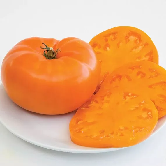 30 Amana Orange Beefsteak Tomato Seeds 2024 Non Gmo Fresh New - £5.79 GBP