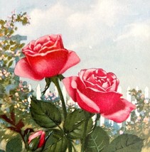Rose Lithograph 1920 Flower Print Myron Van Brunt Floral Garden Art DWDD16 - £39.17 GBP