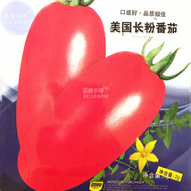 Tomato American Imported Long Pink Fruit Vegetable Seeds 300 Seeds Great... - £8.34 GBP