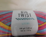 Big Twist Living Confidence Dye Lot 191992 - $6.49