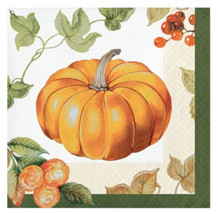 Pumpkin Harvest Fall Thanksgiving 16 Ct Beverage Cocktail Napkins - £3.47 GBP