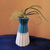Blue and White Ceramic Vase with Air Plants, Air Plant Gift, Mothers Day image 5
