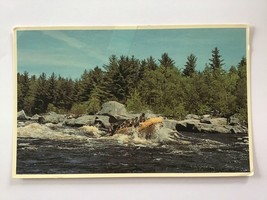 ✍️ collectible POSTCARD posted w/STAMP ✉️  1984 white water rafting MAINE USA - £1.91 GBP