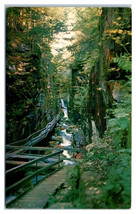 The Flume Gorge Franconia Notch New Hampshire Unused Postcard - $4.94