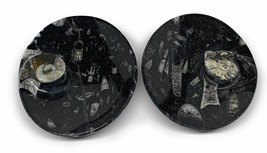 2pcs, 6-6.25&quot;x4.7&quot; Black Fossils Ammonite Orthoceras Bowl Oval Ring @Morocco,B88 - £28.77 GBP