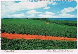 Postcard Potato Field Prince Edward Island - $2.06