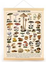 Vintage Mushroom Poster Fungus Wall Art Prints Rustic, 15.7 X 19.7 Inches - £21.20 GBP