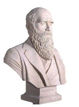 Darwin Stone Bust Life Size Statue - £232.87 GBP