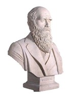 Darwin Stone Bust Life Size Statue - £229.16 GBP