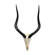 Impala Skull - Real Deer Skull - Antler Horns Wall Art Rustic Decor, Dad... - $4,542.81 MXN