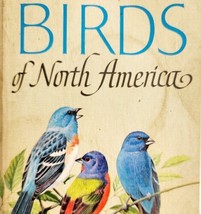 Birds Field Identification North America 1966 PB Heavy Use Golden Guide BKBX10 - £19.97 GBP