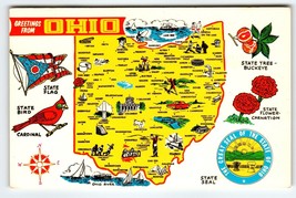 Greetings From Ohio Map Postcard Chrome State Flower Carnation Cardinal Buckeye - £5.59 GBP