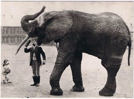 Postcard Jumbo Elephant Stortorget - $9.89