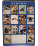 Poster Illinois Furbearers Division of National Heritage 24 X 36 Identif... - $12.36 CAD