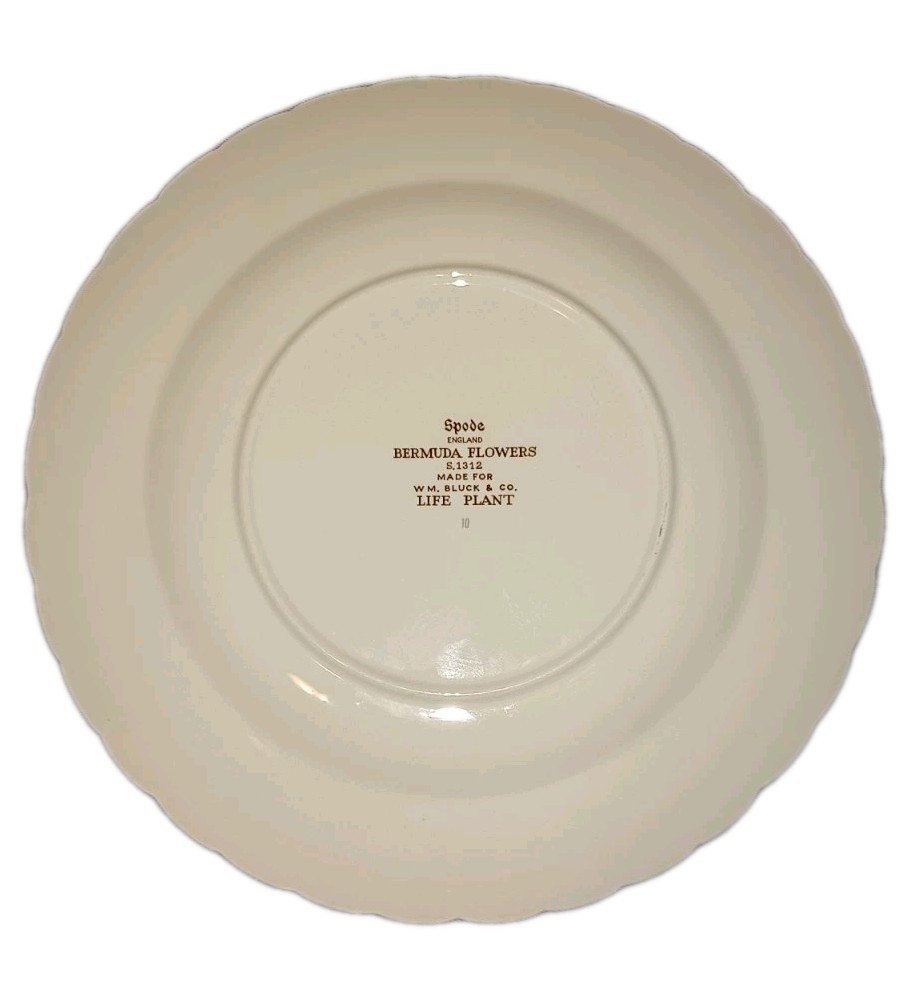 Spode Bermuda Flowers Life Plant 9 Inch Luncheon Plate Item image 3