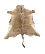 Kudu Skin Rug (Tail is 19&quot;) Real Greater Kudu Antelope Hide Size 63x54&quot; ... - €343,12 EUR