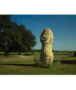 Jimmy Carter roadside statue giant Peanut in Plains Georgia Photo Print - £7.05 GBP+