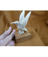 HUM-W4) white Hummingbirds shed ANTLER figurine Bali detailed hummingbir... - $133.99