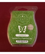 Scentsy Wax Bars NOS Old Scent Of The Month Ivy &amp; Water Lily - $148.08 MXN