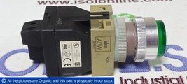 Idec APW R05 Green Pilot Color Primary Voltage 230V Lamp 6.3V 1W 6V 0.5W - £35.05 GBP