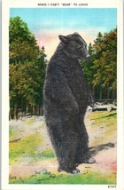Large Black Bear Standing On Hind Legs Postcard - £4.12 GBP